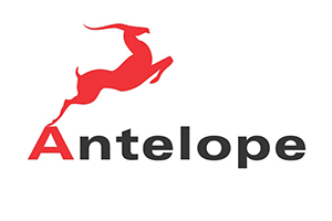 antelope